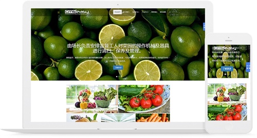 有機水果網(wǎng)站模板